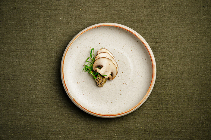 Mushroom Pickle Tapenade and Mushrooms01