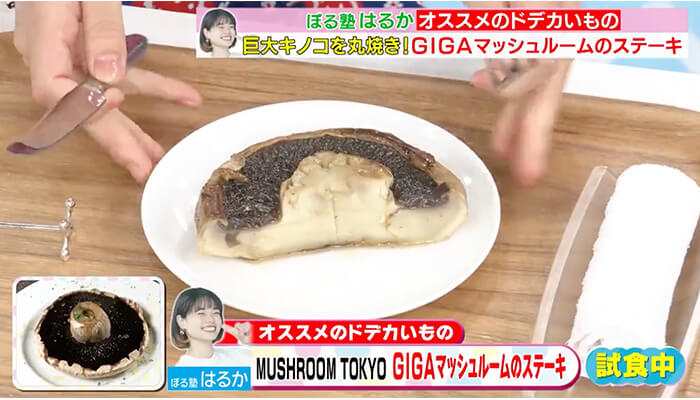 TBS系列『ラヴィット！』 MUSHROOM TOKYO 03