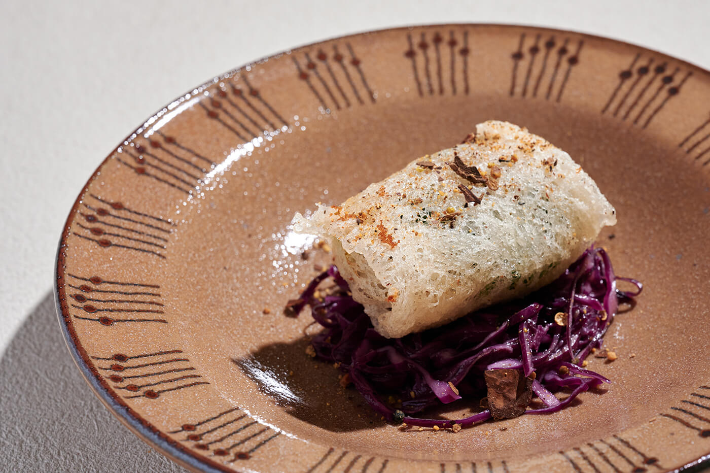 Deep-fried spring rolls(mushroom and avocado) with tomato chutney03