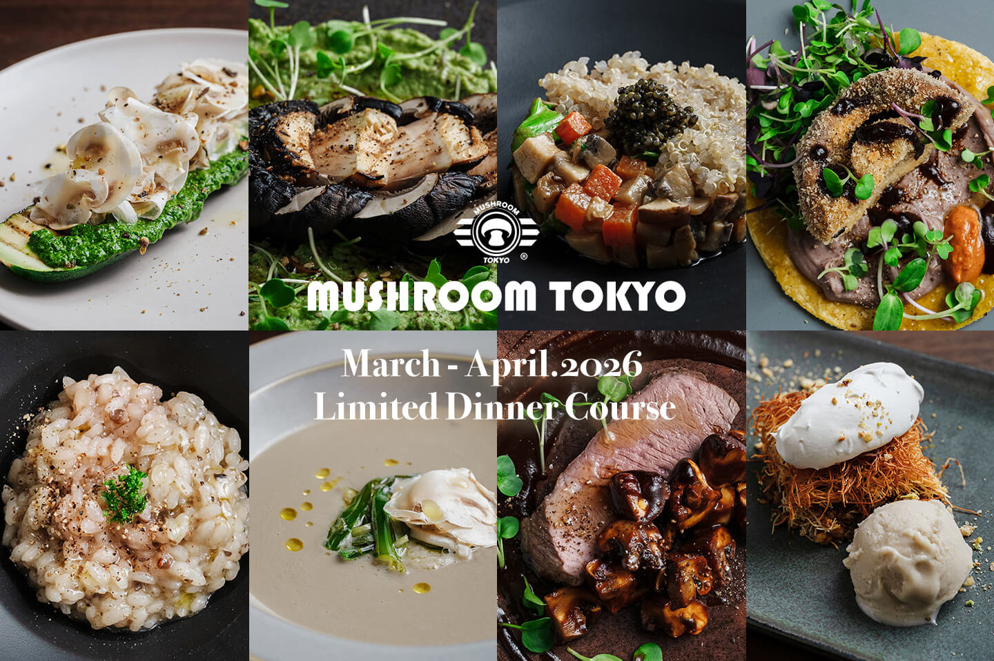 MUSHROOM TOKYO（マッシュルームトーキョー）表参道店 3-4月限定ディナー スペシャルコース
