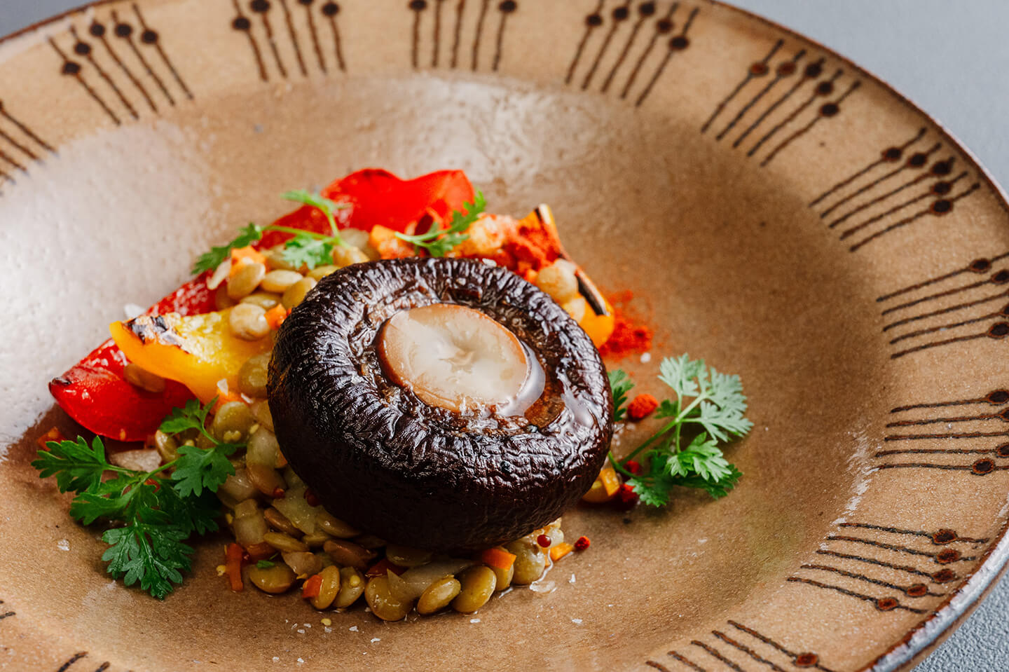 Smoked mushroom, spiced dal, and roasted bell pepper02