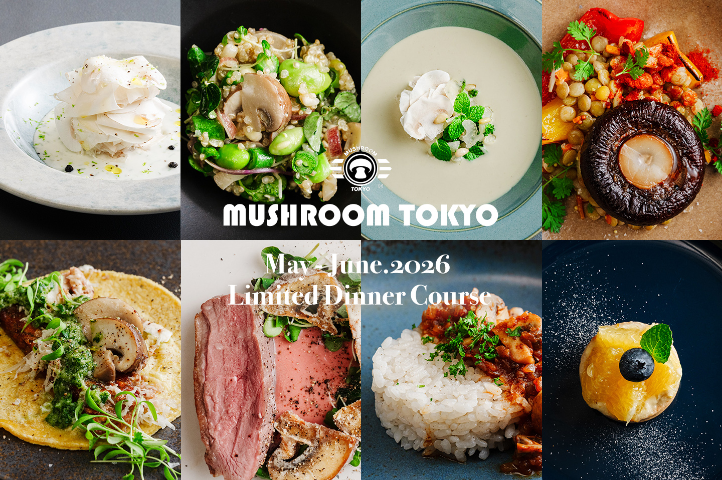 MUSHROOM TOKYO（マッシュルームトーキョー）表参道店 5-6月限定ディナー スペシャルコース
